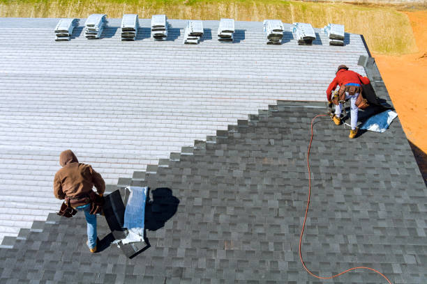 Roof Gutter Cleaning in Gray, LA